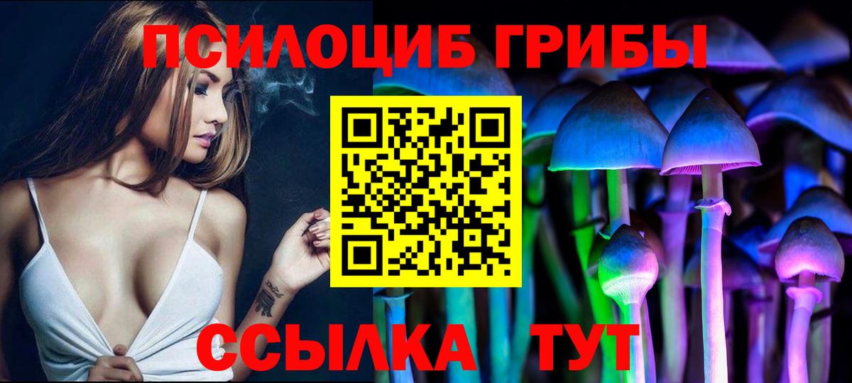 Тара  Галлюциногенные грибы мухоморы  Псилоцибиновые грибы Cubensis  магазин  наркотиков  Вход с VPN 